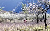 [ẢNH] Bỏ túi những kinh nghiệm du lịch Tây Bắc an toàn, 'siêu' tiết kiệm