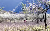 [ẢNH] Bỏ túi những kinh nghiệm du lịch Tây Bắc an toàn, 'siêu' tiết kiệm