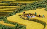 [ẢNH] Bỏ túi những kinh nghiệm du lịch Tây Bắc an toàn, 'siêu' tiết kiệm