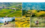 [ẢNH] Bỏ túi những kinh nghiệm du lịch Tây Bắc an toàn, 'siêu' tiết kiệm