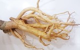 [ẢNH] Những loài cây chữa bệnh ‘nhất định phải có’ trong vườn nhà bạn