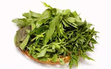 [ẢNH] Những loài cây chữa bệnh ‘nhất định phải có’ trong vườn nhà bạn