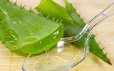 [ẢNH] Những loài cây chữa bệnh ‘nhất định phải có’ trong vườn nhà bạn