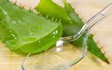 [ẢNH] Những loài cây chữa bệnh ‘nhất định phải có’ trong vườn nhà bạn