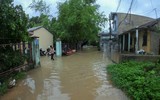 [ẢNH] Cảnh tượng tại Huế: Mưa lớn dồn dập, phố như sông, cây xanh ngã đổ 