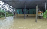 [ẢNH] Cảnh tượng tại Huế: Mưa lớn dồn dập, phố như sông, cây xanh ngã đổ 