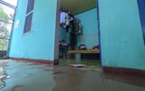 [ẢNH] Cảnh tượng tại Huế: Mưa lớn dồn dập, phố như sông, cây xanh ngã đổ 