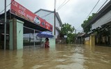 [ẢNH] Cảnh tượng tại Huế: Mưa lớn dồn dập, phố như sông, cây xanh ngã đổ 