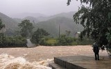 [ẢNH] Cảnh tượng tại Huế: Mưa lớn dồn dập, phố như sông, cây xanh ngã đổ 