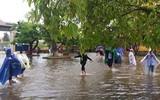 [ẢNH] Cảnh tượng tại Huế: Mưa lớn dồn dập, phố như sông, cây xanh ngã đổ 