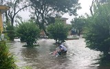 [ẢNH] Cảnh tượng tại Huế: Mưa lớn dồn dập, phố như sông, cây xanh ngã đổ 