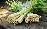 [ẢNH] 12 loại cây đẹp vừa khiến kiến ba khoang ‘khiếp vía’ biến khỏi nhà bạn