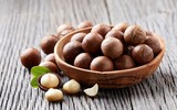 [ẢNH] Những thực phẩm đại kỵ đối với loài chó