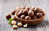 [ẢNH] Những thực phẩm đại kỵ đối với loài chó