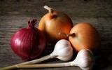 [ẢNH] Những thực phẩm đại kỵ đối với loài chó