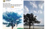 [ẢNH] Lệ Quyên ly hôn: Tiết lộ chân dung ‘người tình tin đồn’ kém 12 tuổi 