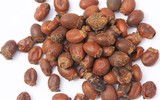 [ẢNH] 5 loại hạt trái cây cực tốt cho sức khỏe nhưng thường bị bỏ đi