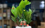 [ẢNH] Cảnh giác trước những loại cây cảnh đẹp nhưng lại ‘cực độc’