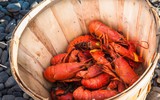 [ẢNH] Điểm danh 3 loại thực phẩm đắt đỏ nhưng từng là đồ ăn của người nghèo 