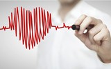 [ẢNH] Những điều thú vị về loại nho Nhật ‘siêu to’, có tiền cũng khó mua được 