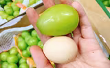 [ẢNH] Những điều thú vị về loại nho Nhật ‘siêu to’, có tiền cũng khó mua được 