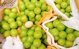 [ẢNH] Những điều thú vị về loại nho Nhật ‘siêu to’, có tiền cũng khó mua được 