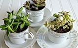 [ẢNH] Làm mới căn nhà từ những đồ dùng cũ hỏng