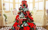 [ẢNH] Những phụ kiện trang trí cây thông Noel đẹp không nên bỏ qua