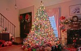 [ẢNH] Những phụ kiện trang trí cây thông Noel đẹp không nên bỏ qua