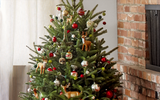 [ẢNH] Những phụ kiện trang trí cây thông Noel đẹp không nên bỏ qua