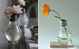 [ẢNH] Làm mới căn nhà từ những đồ dùng cũ hỏng