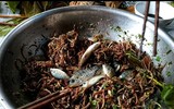 [ẢNH] Những loại đặc sản 'nhìn thì ghê ăn thì mê' ở Việt Nam