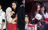 [ẢNH] Chuyện lạ mà quen: Sao Việt đua nhau đưa thú cưng lên thảm đỏ 
