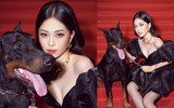 [ẢNH] Chuyện lạ mà quen: Sao Việt đua nhau đưa thú cưng lên thảm đỏ 