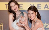 [ẢNH] Chuyện lạ mà quen: Sao Việt đua nhau đưa thú cưng lên thảm đỏ 