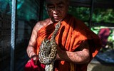 [ẢNH] Nỗ lực bảo tồn sự sống cho loài rắn của một nhà sư Myanmar
