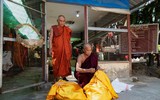 [ẢNH] Nỗ lực bảo tồn sự sống cho loài rắn của một nhà sư Myanmar