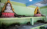 [ẢNH] Nỗ lực bảo tồn sự sống cho loài rắn của một nhà sư Myanmar