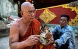 [ẢNH] Nỗ lực bảo tồn sự sống cho loài rắn của một nhà sư Myanmar