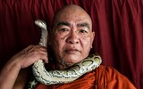 [ẢNH] Nỗ lực bảo tồn sự sống cho loài rắn của một nhà sư Myanmar