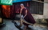 [ẢNH] Nỗ lực bảo tồn sự sống cho loài rắn của một nhà sư Myanmar