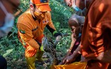 [ẢNH] Nỗ lực bảo tồn sự sống cho loài rắn của một nhà sư Myanmar