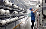 [ẢNH] Thưởng Tết thời dịch Covid-19: Những điều khác biệt so với các năm trước 
