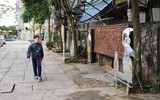 [ẢNH] Ấn tượng với những lần rác thải được 'tái sinh' trong diện mạo mới 