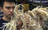[ẢNH] Ấn tượng với những lần rác thải được 'tái sinh' trong diện mạo mới 