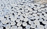 [ẢNH] Những hiện tượng băng tuyết cực hiếm trên thế giới