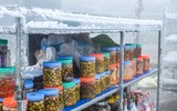 [ẢNH] Ngắm khung cảnh lần đầu tiên băng tuyết phủ trắng đỉnh Mẫu Sơn trong năm 2021