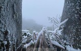 [ẢNH] Ngắm khung cảnh lần đầu tiên băng tuyết phủ trắng đỉnh Mẫu Sơn trong năm 2021