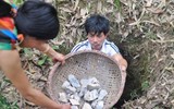 [ẢNH] Đất hun khói và loạt món ăn lạ miệng từ bùn đất không phải ai cũng biết
