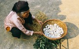 [ẢNH] Đất hun khói và loạt món ăn lạ miệng từ bùn đất không phải ai cũng biết